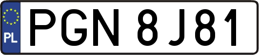 PGN8J81