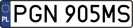 PGN905MS