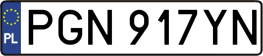PGN917YN