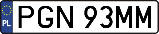 PGN93MM