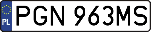 PGN963MS