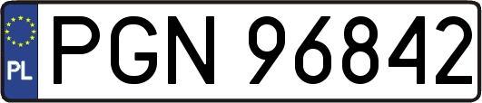 PGN96842