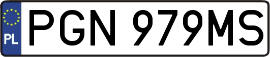 PGN979MS