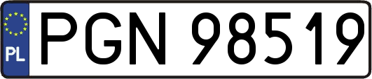 PGN98519