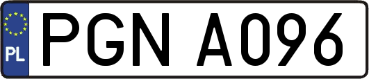 PGNA096