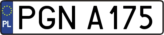 PGNA175