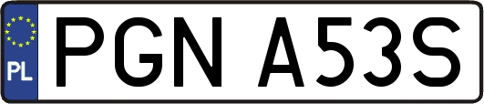 PGNA53S