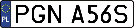 PGNA56S