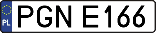 PGNE166
