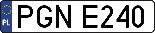PGNE240