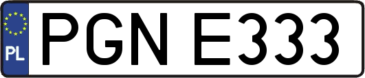 PGNE333