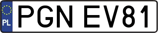 PGNEV81