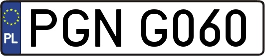 PGNG060