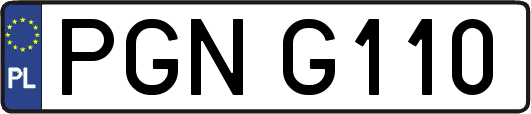 PGNG110