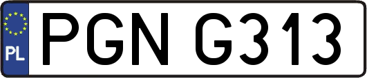 PGNG313