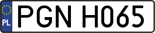 PGNH065