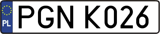 PGNK026