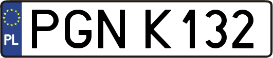 PGNK132