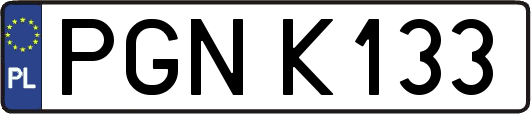 PGNK133