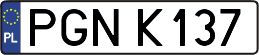 PGNK137