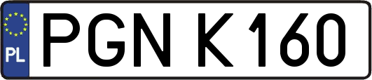 PGNK160