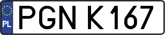 PGNK167
