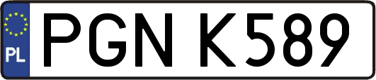 PGNK589