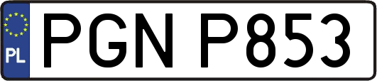 PGNP853