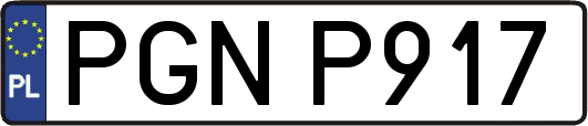PGNP917