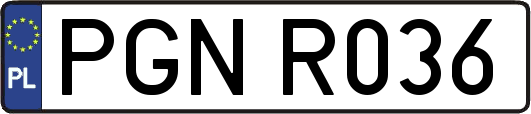 PGNR036