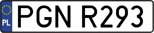 PGNR293