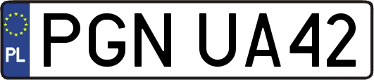 PGNUA42
