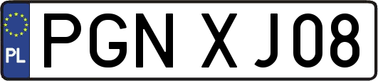 PGNXJ08
