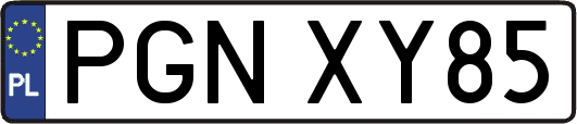 PGNXY85