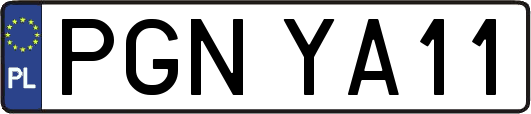 PGNYA11