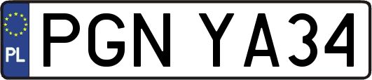 PGNYA34