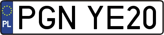 PGNYE20