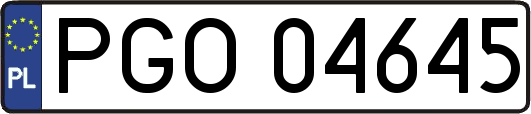 PGO04645