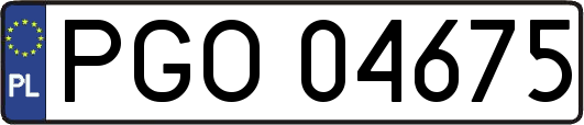 PGO04675