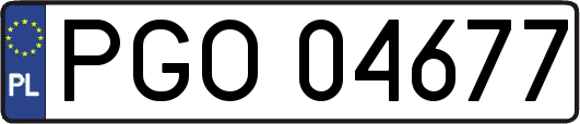 PGO04677