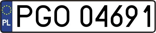 PGO04691