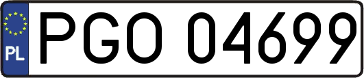 PGO04699