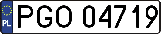 PGO04719