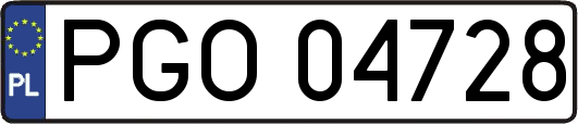PGO04728