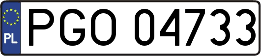 PGO04733