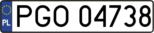 PGO04738