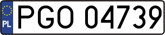 PGO04739