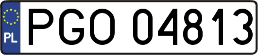 PGO04813
