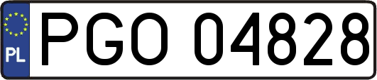 PGO04828