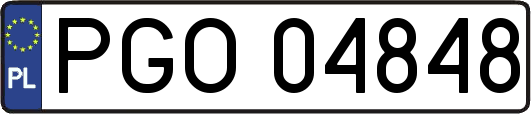 PGO04848